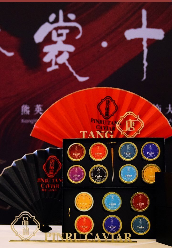 幻灯片157